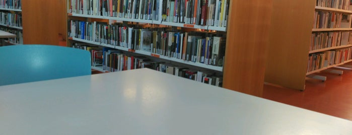 Biblioteca Ignasi Iglésias - Can Fabra is one of BCNegra 2013.