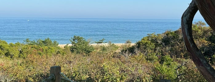 Bluff Walk is one of Cape Cod: Attractions.