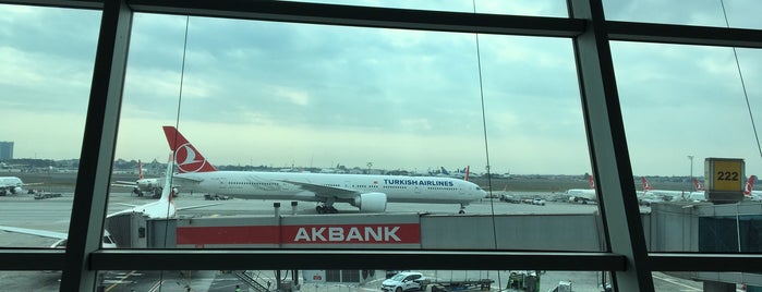 Gate 223 is one of İstanbul.