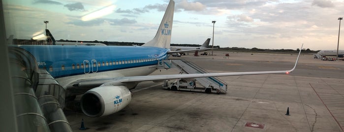 KLM Flight KL1674 [BCN - AMS] is one of Bcn.