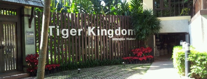 Tiger Kingdom is one of Chiang Mai.