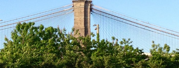 Brooklyn Bridge Park is one of nyc in summer.