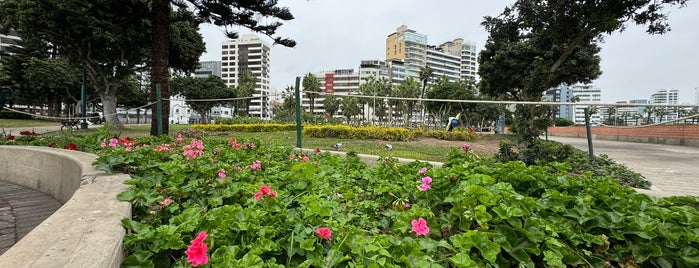 Parque Antonio Raimondi is one of Lima, Peru.