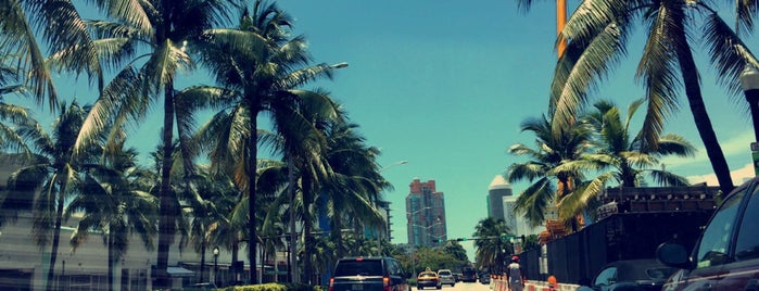 Washinton Avenue is one of Miami, FL.