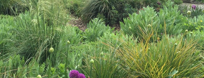 Kennington Park Flower Garden is one of Posti che sono piaciuti a Ralph.