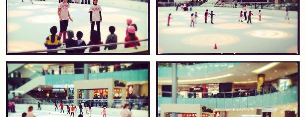 Ice Skating Center is one of Outdoors.