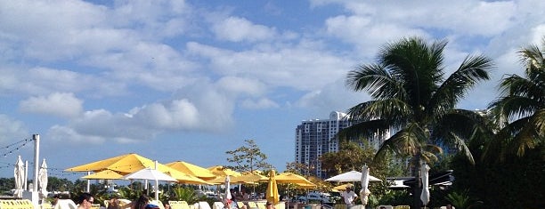 Pool at The Standard Spa, Miami Beach is one of สถานที่ที่บันทึกไว้ของ Andrew.