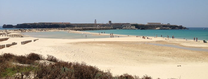Punta de Tarifa is one of Playas de España: Andalucía.