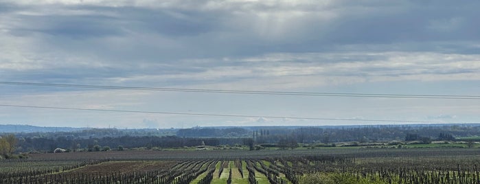 Sauska Winery Villány is one of villányi ivós.