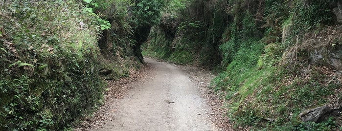 Camino Santiago