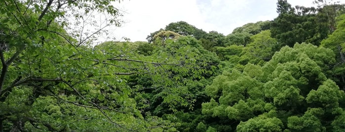 清水山公園 is one of 静岡の公園.