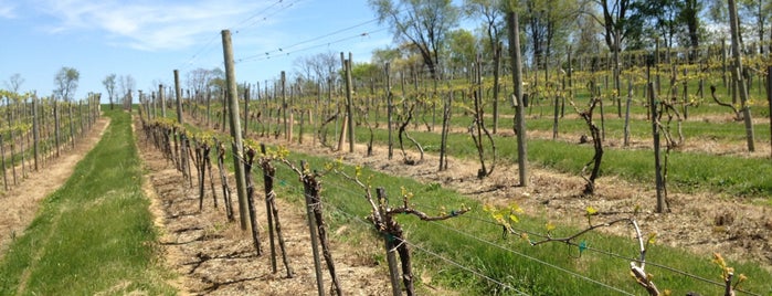 Loew Vineyards is one of Maryland Vineyards.