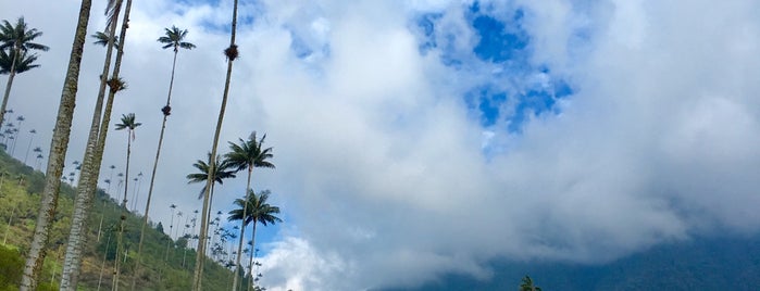 Valle del Cocora is one of Colombia.