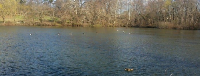 Haverford College Duck Pond is one of Orte, die Susan gefallen.