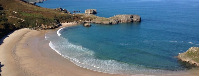 Playa de Torimbia is one of Playas de España: Principado de Asturias.