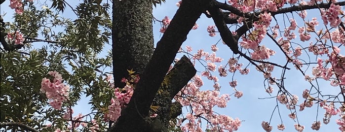 早稲田大学 高田早苗記念研究図書館 is one of 早稲田大学早稲田.