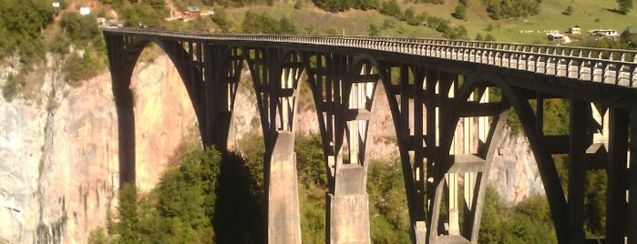 Pont de Đurđevića Tara is one of .me.
