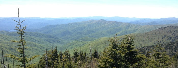 Clingmans Dome is one of Want to go back!!!.