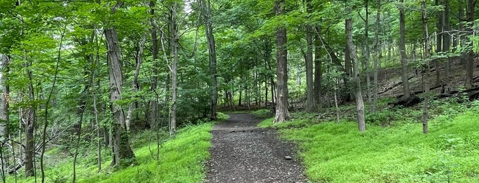Washington Valley Park  Mountain Bike Trails is one of Top picks for MTB Trails.