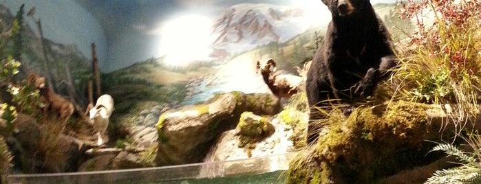 Bass Pro Shops is one of Seattle.