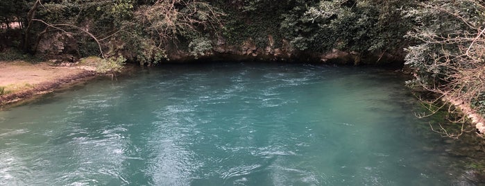 fiume Timavo is one of Tempat yang Disukai Sveta.