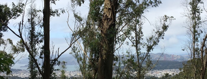 South Ridge Trail is one of Hiking trails in and around San Francisco.