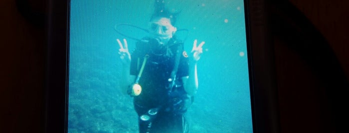 Aqua Dive Paradise is one of Bali.