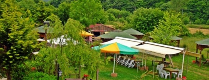 Amazon Restaurant is one of Locais salvos de Timur.