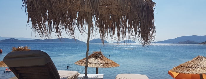 Elia Beach Bar is one of Central Greece.