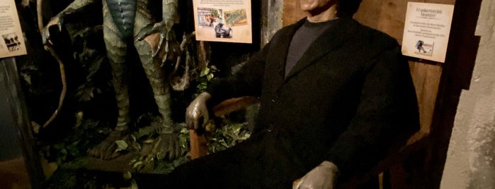 Potter's Wax Museum is one of South.