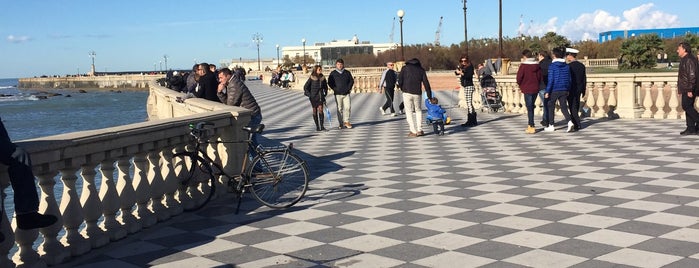 Terrazza Mascagni is one of Posti che sono piaciuti a Massimiliano.