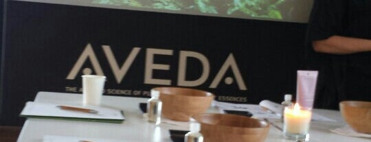 Aveda Italy Institute is one of Companies.
