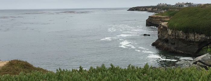 Very End of Santa Cruz West Cliff is one of Lugares favoritos de Deniz.