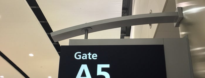 Gate A5 is one of DTW Domination.