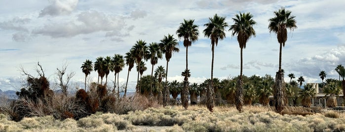 Zzyxz Desert Oasis is one of New 4SQ Discoveries.