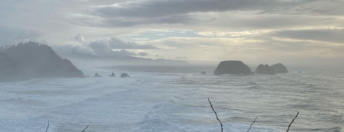 Cape Meares State Park is one of Al : понравившиеся места.