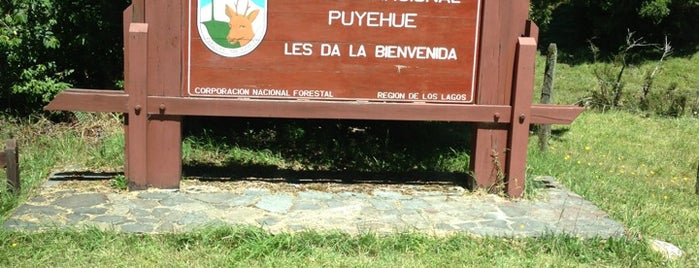 Parque Nacional Puyehue is one of Lugares favoritos de Nacho.
