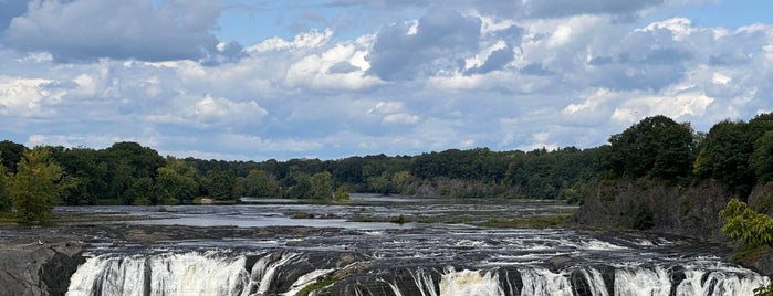 Cohoes Falls is one of สถานที่ที่ Mike ถูกใจ.