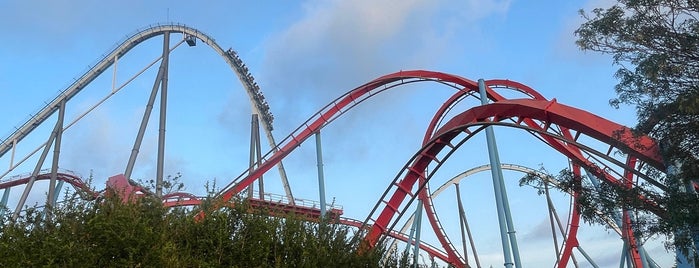 China is one of PortAventura.