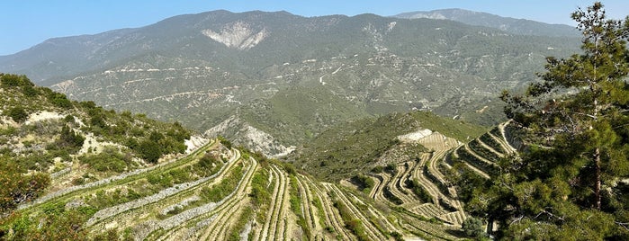 Tsiakkas Winery is one of Lazy Cyprus.