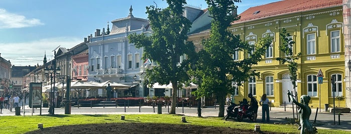 Dunavska is one of Novi Sad Belgrade.