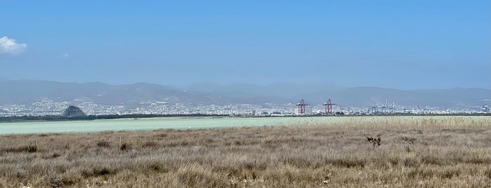Limassol Salt Lake is one of Lieux qui ont plu à Maria.