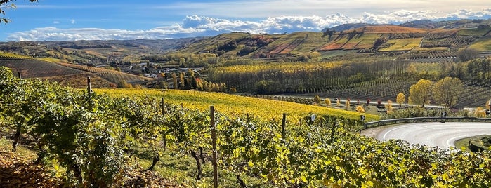 Grinzane Cavour is one of Piemonte.