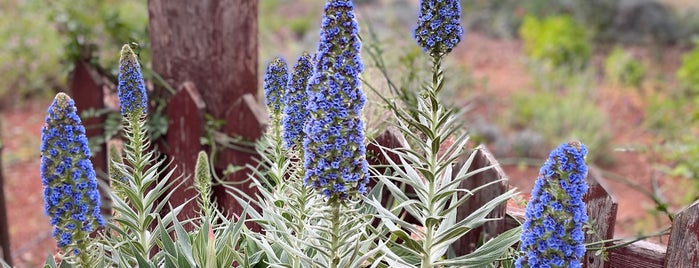 Cyherbia is one of Cyprus.