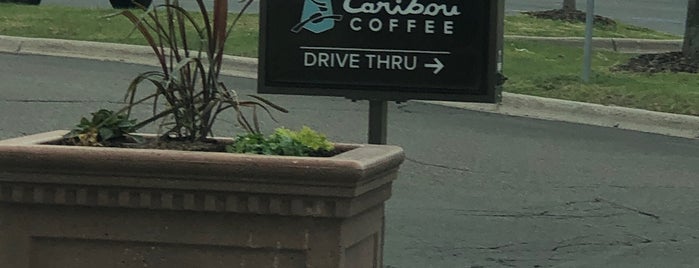 Caribou Coffee is one of My favorites for Coffee Shops.