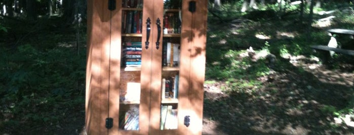 Little Free Library In The Park is one of Buffalo.