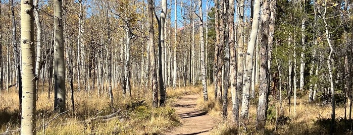 Kenosha Pass - Colorado Trail is one of Colorado.