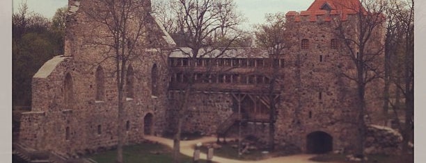 Руины Сигулдского замка is one of Castles Around the World.