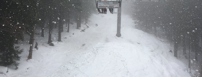 Буковель / Bukovel is one of Orte, die Victoria gefallen.