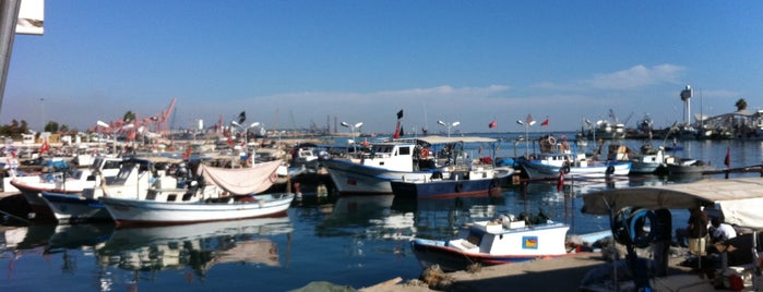 Mavi Yelken Balık Teknesi is one of Mersin.